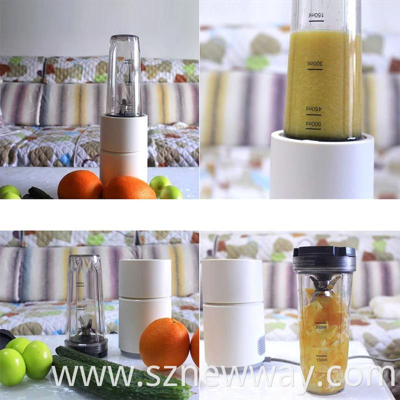 Pinlo Little Monster Juicer